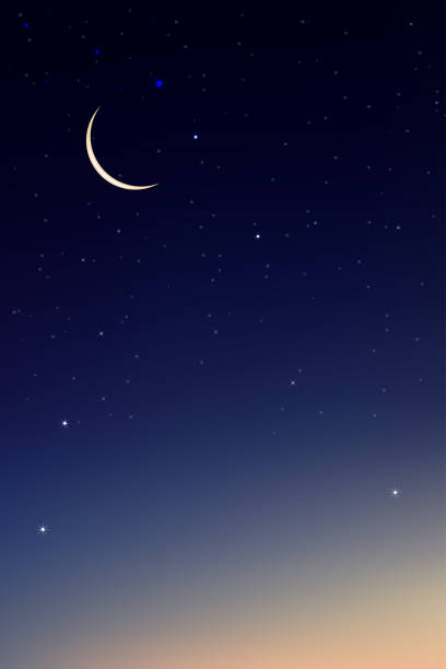 istock Night Sky with Crescent Moon and Stars Shining, Landscape Dramatic Dark Blue, Purple and OrangeSky, Beautiful  Panoramic view of Dusk Sky and Twilight, Vector illustration Natural Vertical background 1310880297