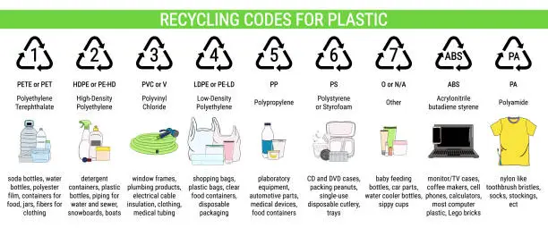 Vector illustration of Recycling codes for plastic - PETE, HDPE, PVC, LDPE, PP, PS, Polyamide. Sorting garbage, segregation and recycling infographics. Waste management.