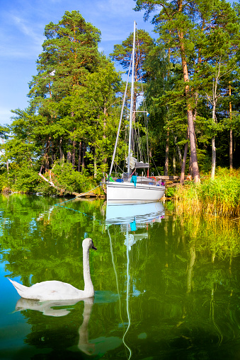 Vacations in Poland - sailing on the Lake Nidzkie in Masuria, land of a thousand lakes