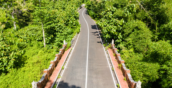 Aerial view of a road in tropical forest. Blue sky is on the background.