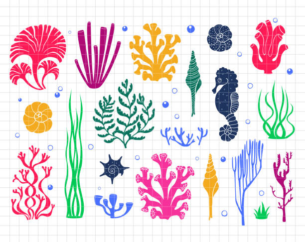 ilustrações de stock, clip art, desenhos animados e ícones de underwater clip art with corals, seaweeds, shells and seahorse. sea and ocean life. silhouette vector flat illustration. cutting file. suitable for cutting software. cricut, silhouette - reef