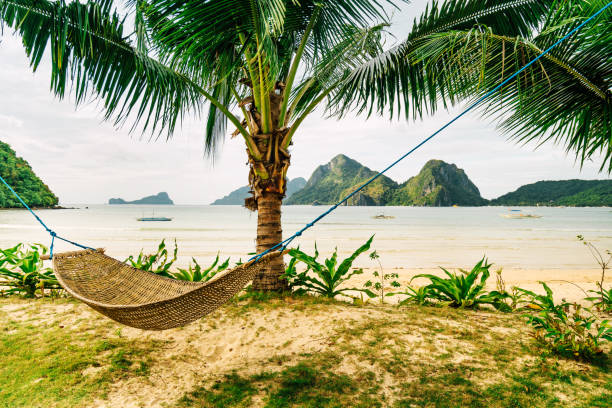 istock Tropical scenery with beautiful palm beach and hammock, Philippines 1310885662