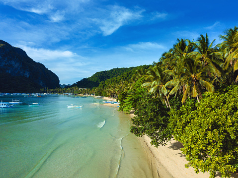 Coconut trees and turquoise sea, El Nido, Palawan, Philippines