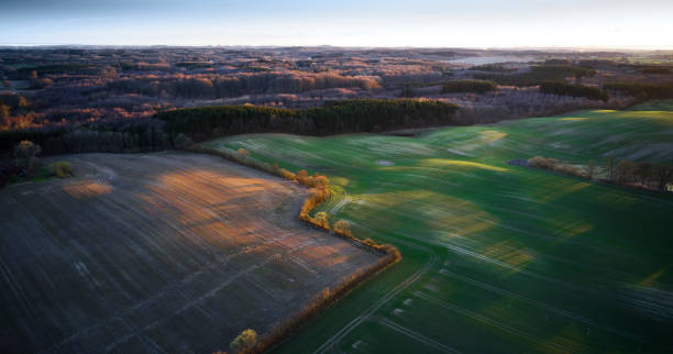 istock Green fields divided by living fences 1310885938