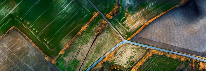 Aerial view of mixed agricultural fields and meadows, Cultivated fields and crop fields. Living fences between the different sections. Bushes and trees high enough are lit by the sunset. Image has been stitched together from several shots due to height restrictions