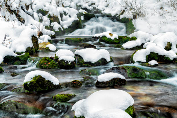 Mountain river in winter, rapids, fresh snow