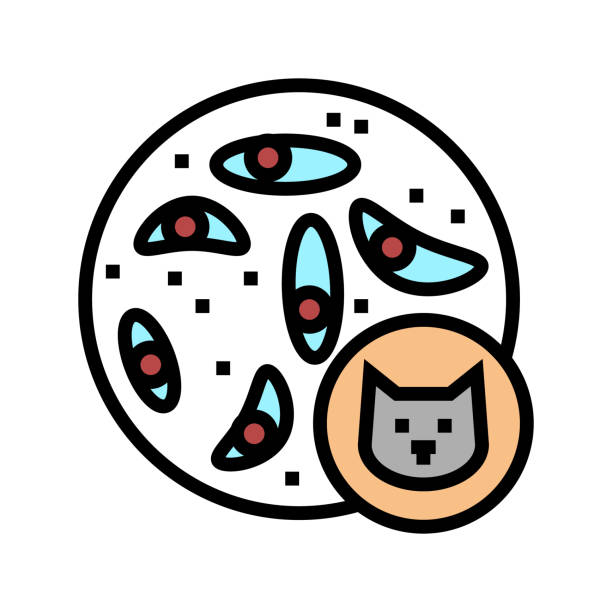 toxoplasmosis disease color icon vector illustration toxoplasmosis disease color icon vector. toxoplasmosis disease sign. isolated symbol illustration salivary gland surgery stock illustrations