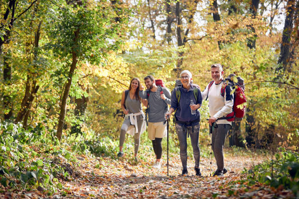 istock Two couple hiking in forest 1310893399