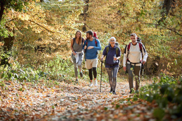 istock Woman and men hiking in forest 1310895549