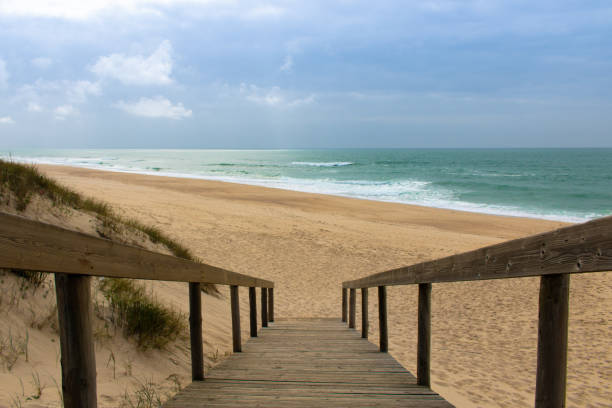 istock Landscape photo of boardwalk going down to empty sandy beach 1310896043