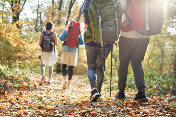 istock Hikers at autumn hiking, back view 1310896617