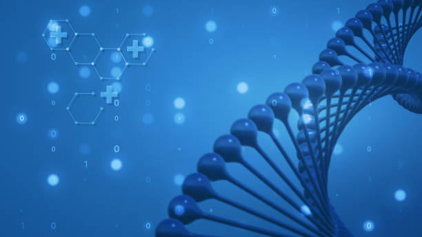 3d Illustration of DNA molecule 3d Illustration of DNA molecule.  The concept genome and modification of the body gene therapy stock pictures, royalty-free photos & images