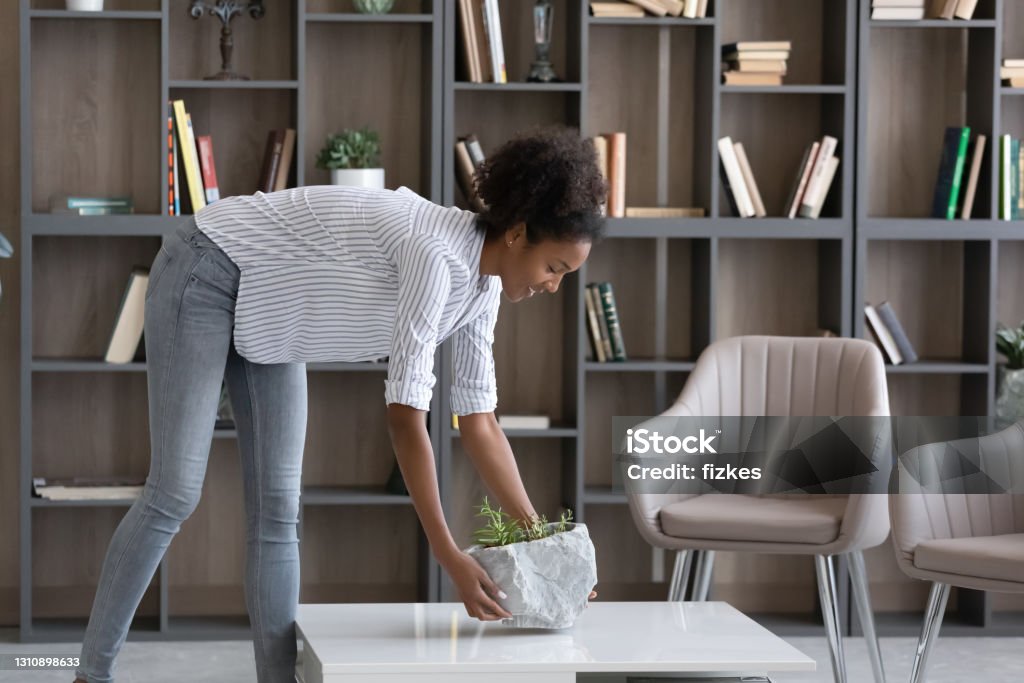 Happy biracial woman decorate new cozy home Happy millennial African American female renter or tenant have fun decorate cozy modern new house or apartment. Smiling young biracial woman engaged in interior design on home. Rent, realty concept. Decorating Stock Photo