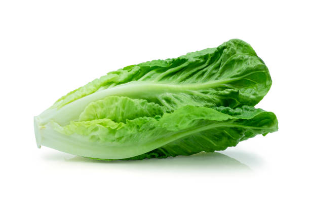 istock Fresh green Lettuce leaves, Salad leaf isolated on white background. with clipping path. 1310899014