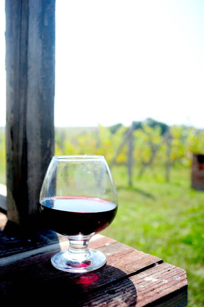 istock glass of wine 1310900528