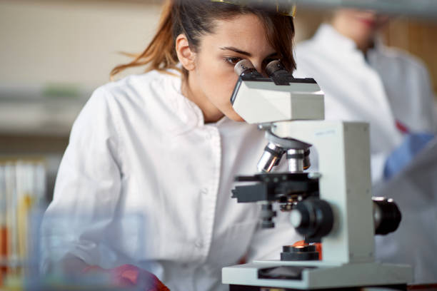 istock A young female student using a microscope in a laboratory. Science, chemistry, lab, people 1310903555