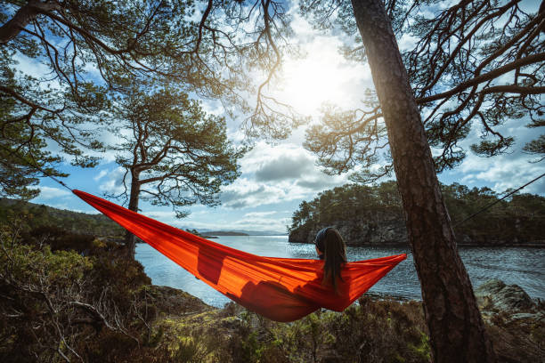 istock Springtime in Norway: adventures in nature outdoor on hammock 1310906840
