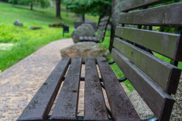 istock Empty Wooden Benches in Park with Rain Drops on them and Copy Space 1310906844