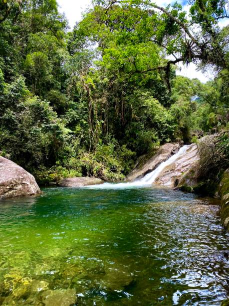 istock Majestic green translucent lake and waterfall amid rainforest 1310907065