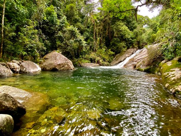 istock Majestic green translucent lake and waterfall amid rainforest 1310907103
