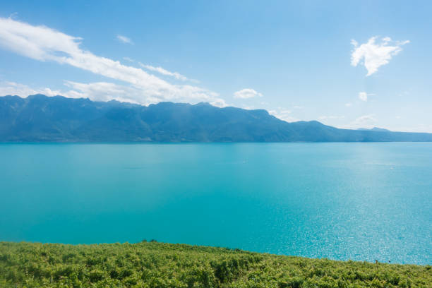 istock Lavaux, terraced vineyard - Swiss 1310908159