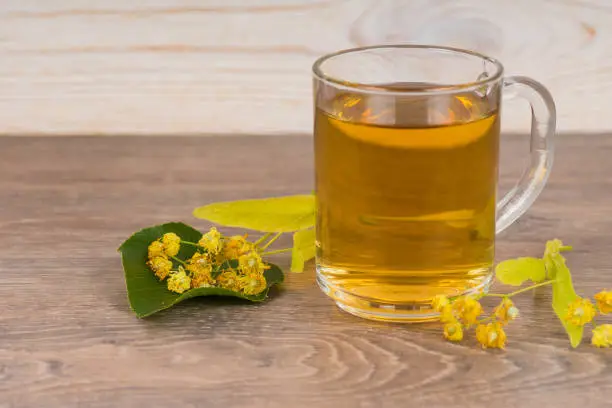 herbal tea in transparent glass mug with fresh linden flowers on wooden table