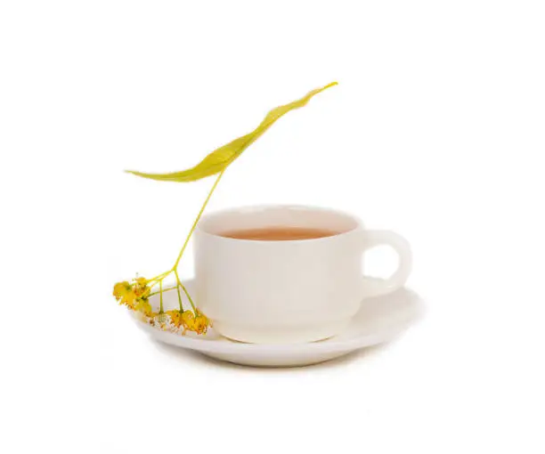 herbal tea in white cup with fresh linden flowers on white background