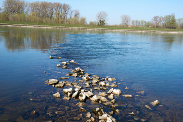 istock stones in a river with blue water and trees in the background 1310910430