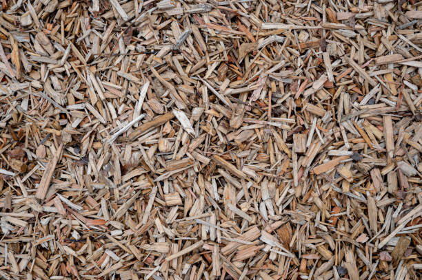 istock Sawdust brown background. Wooden organic  surface on the ground. 1310911468