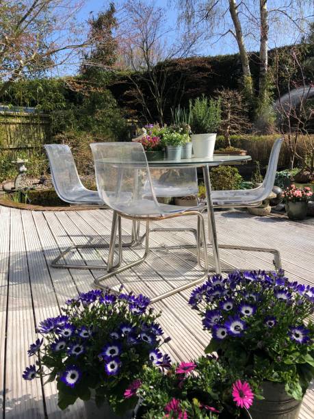 Image of sunny landscaped Japanese garden and koi pond, whitewashed decking timber patio, contemporary perspex table and chairs, maple trees acers, bamboo Stock photo showing domestic garden decking patio with perspex table and chairs beside green lawn. perspex stock pictures, royalty-free photos & images