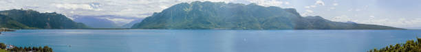 istock Lavaux, terraced vineyard - Swiss 1310914172