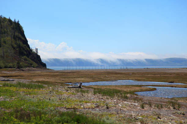 istock Nova Scotia Scenery close to Parrsborro 1310914349