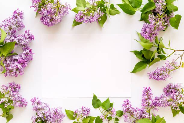 istock Frame of purple flowers - spring lilac branches with space for text 1310914422