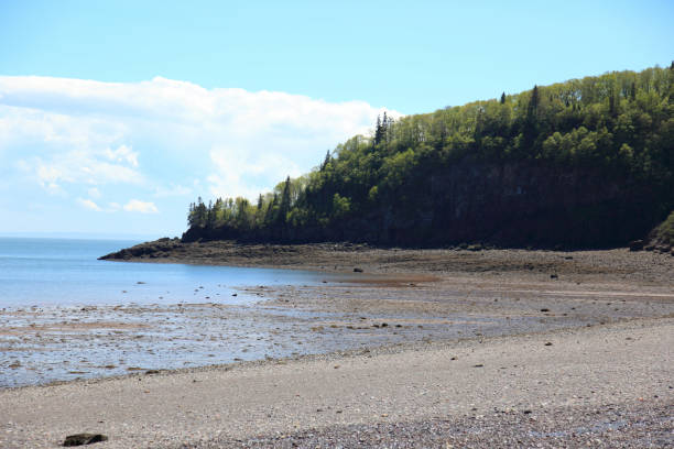 istock Nova Scotia Scenery close to Parrsborro 1310914966