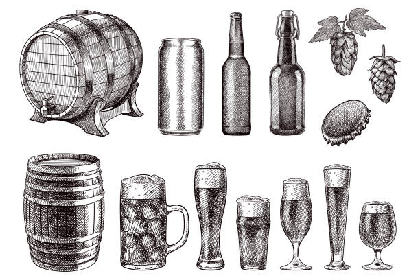 Vector drawings of beer related items Old style illustration sketches of beer barrels, bottles, can, glasses, cap and hops beer alcohol illustrations stock illustrations