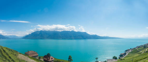 istock Lavaux, terraced vineyard - Swiss 1310918859