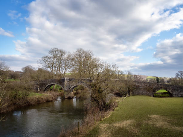 river tamar and higher new bridge near launceston, on the devon - cornwall border, england. - launceston imagens e fotografias de stock