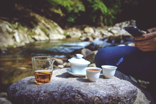 Outdoor picnic tea mountain spring water