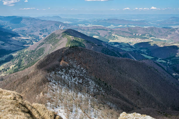 istock Deciduous forest with snow from Klak hill, Slovakia, springtime scene 1310920171