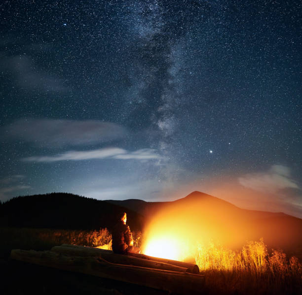 istock Process enjoying incredible starry sky and nature. 1310926010