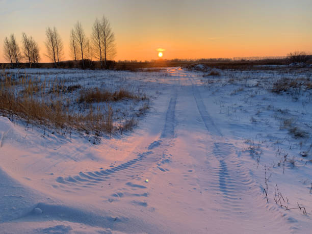 istock Car tracks on the snow 1310926249