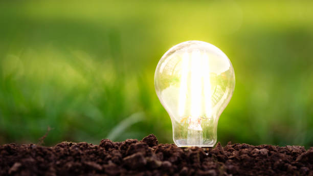 istock energy efficient led filament Lightbulb Glowing in ground with Grass on the background. planet's climat change and Green Energy Concept 1310926374