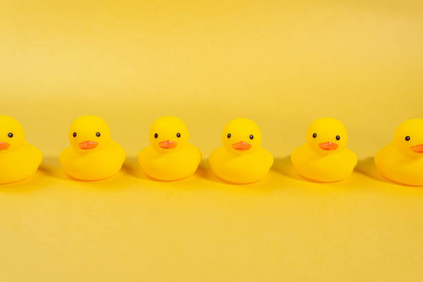 istock yellow rubber ducks on a yellow background. Minimal summer concept. 1310926998