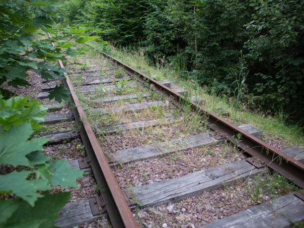 istock Abandoned vintage railway in a wooded area 1310928500