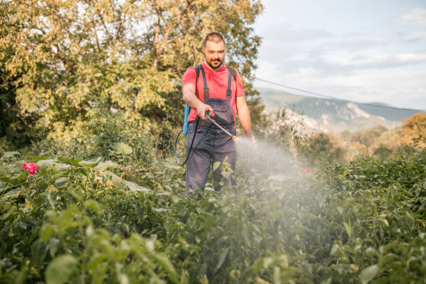 istock Farmer watering plants in the garden on sunny day 1310932191