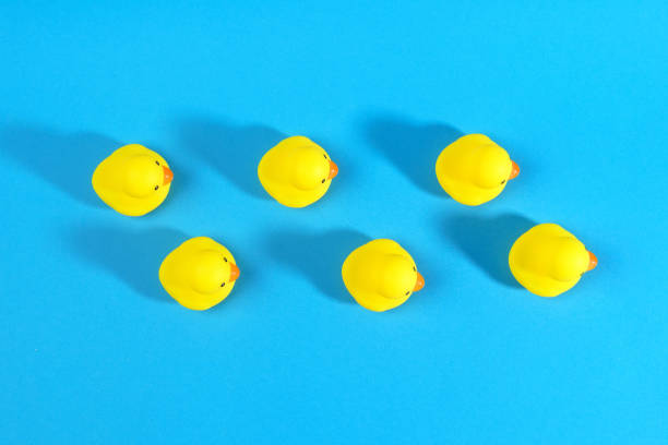 istock yellow rubber ducks on a blue background. top view 1310934814