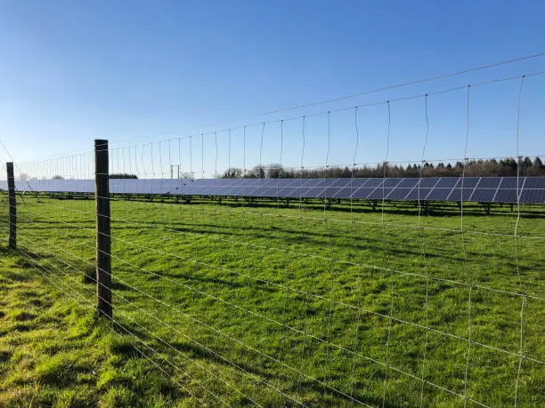 Photo of Image of wire mesh fence before solar panels on farm field, environmentally friendly energy, lush green grass, clear blue sky