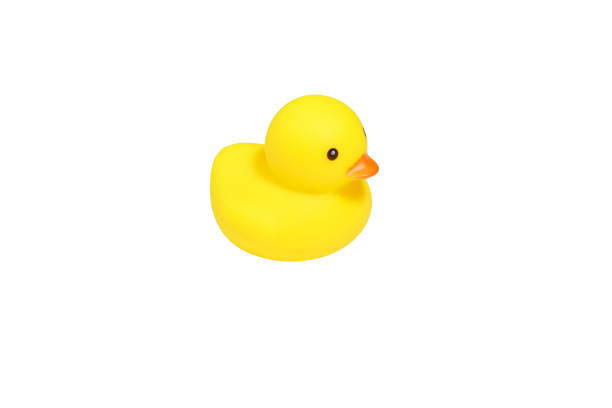 istock yellow rubber ducks isolated on a white background. 1310937782