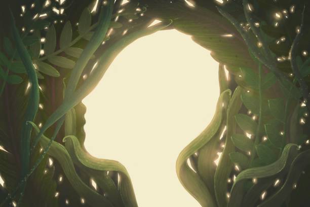 sztuka surrealistyczna, środowisko natury mózgu nadzieję sukces wolności psychologii zdrowia psychicznego i pomysł koncepcji życia, ilustracja malarstwa, grafika konceptualna - mystery forest ecosystem natural phenomenon stock illustrations