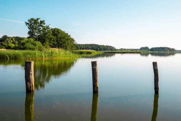 istock reflection of trees in the lake 1310938854